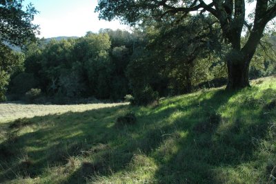 hillside near Bon Tempe