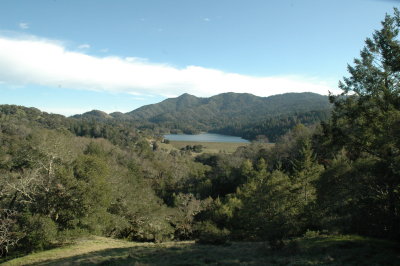 hillside near Bon Tempe