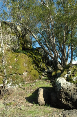 hillside near Bon Tempe