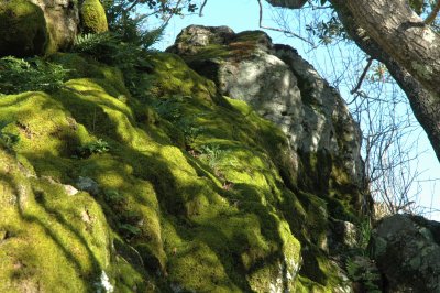 hillside near Bon Tempe