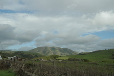 hillside near Point Reyes