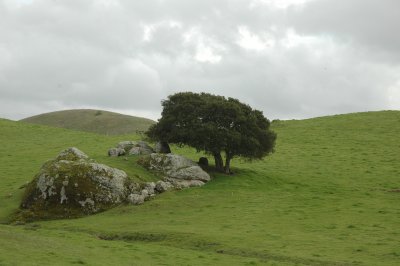 on Hicks Valley Road