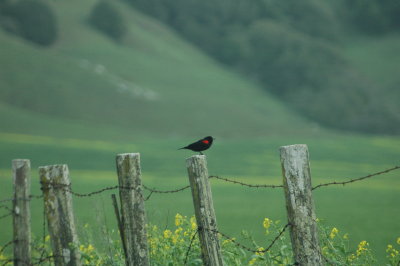 on Hicks Valley Road
