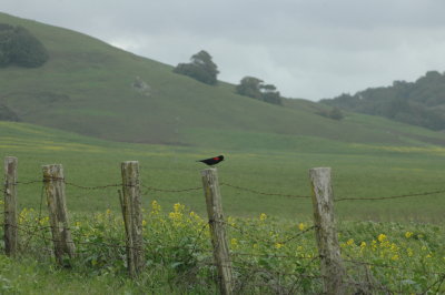 on Hicks Valley Road