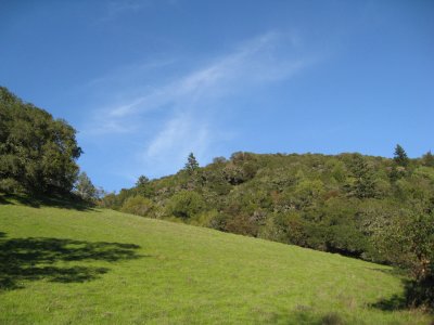 grassy hillside
