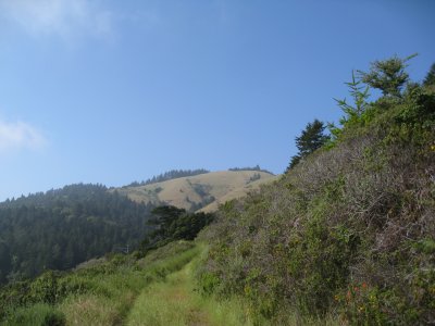 a walk on the hill above the beach