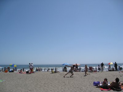 the beach on a sunny weekend