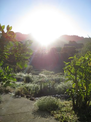 sunrise