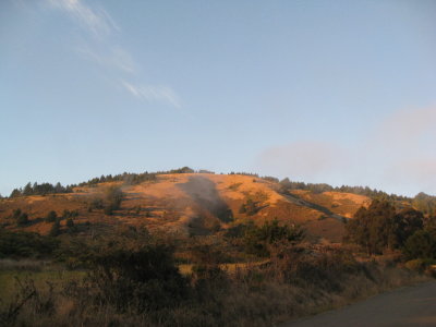 my morning view