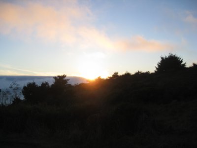 my morning view