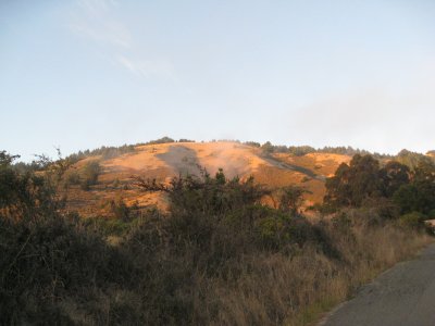 my morning view