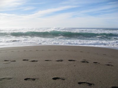beach and waves