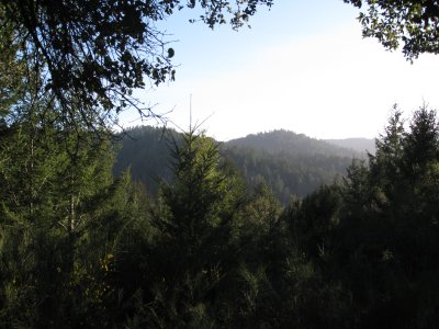 view