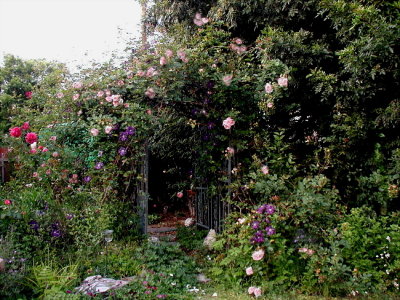 Rose Arch leading to the back of Randys Garden