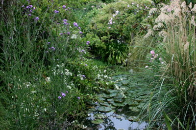  A very pretty pond