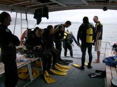 After the dive