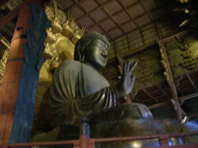 HPIM1503.JPG