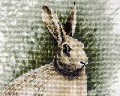 Hare (detail)