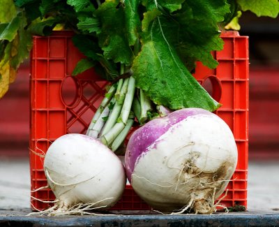 A Bunch of Market Turnips