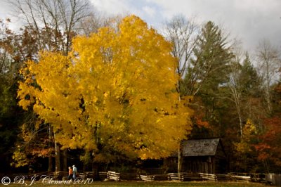 Cable Mill