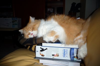I'll nap anywhere!!!