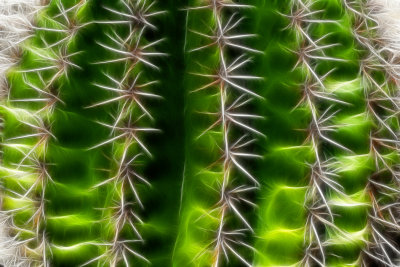 Static cactus