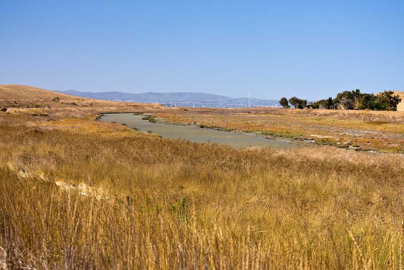 Coyote Hills Regional Park  10/10/2008