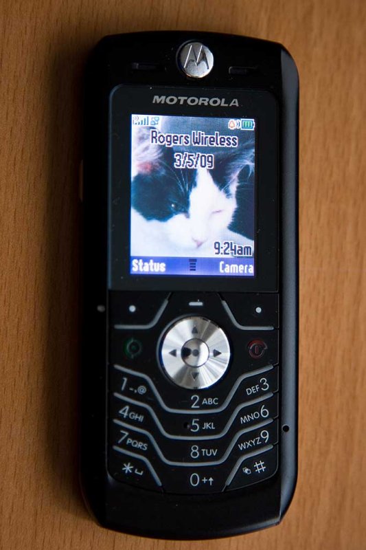 Motorola SLVR L7 cell phone