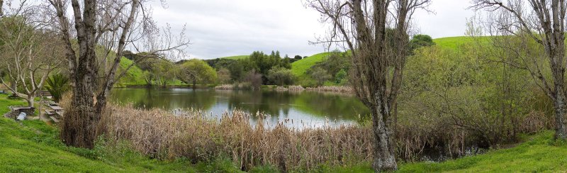 3/21/2009  Garin Regional Park