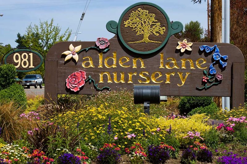 5/13/2009  Alden Lane Nursery