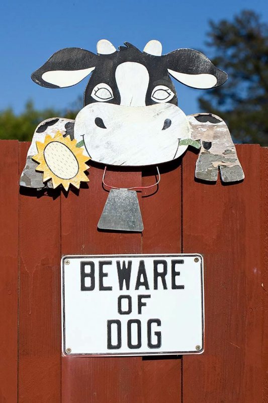 8/9/2010  Beware of Dog