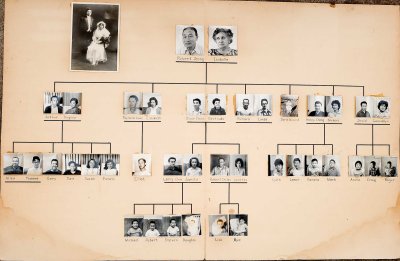 Family tree