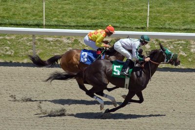 18th Annual Day At The Races 2008
