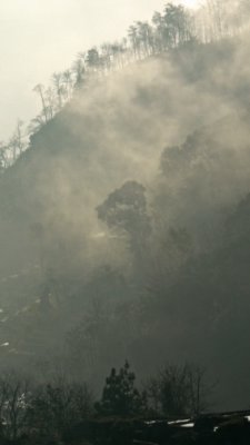 KM25.JPG