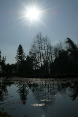 KM26.JPG