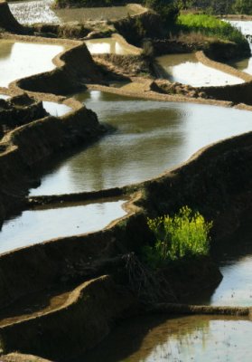 KM43.JPG