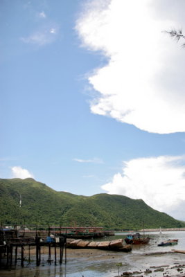 IMG_6984.jpg