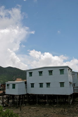 IMG_7015.jpg
