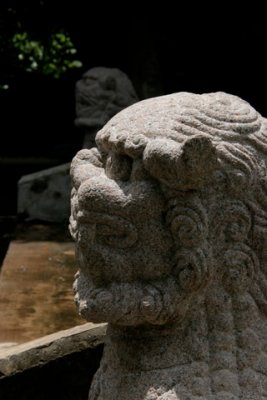 IMG_7069.JPG