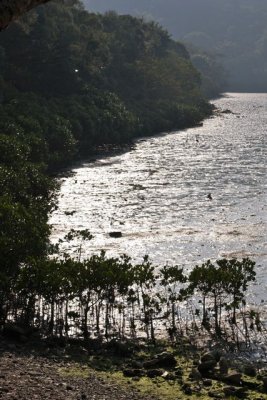 LK02.jpg