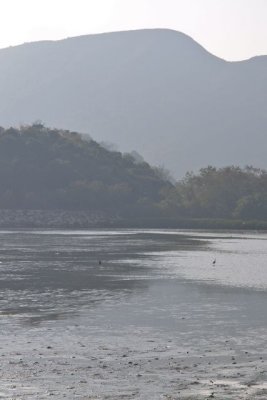 LK03.jpg