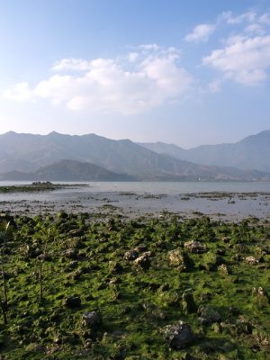 LK11.jpg
