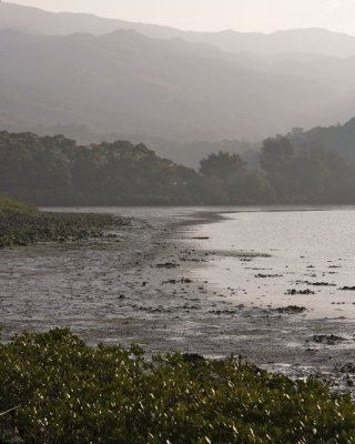 LK23.jpg