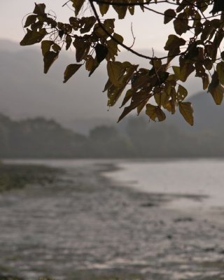 LK24.jpg