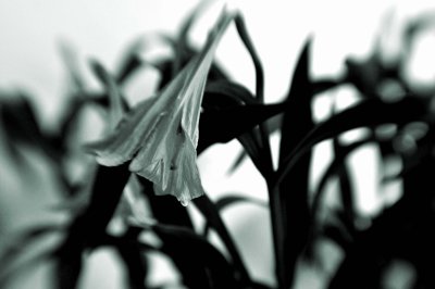 g1/16/557816/3/110540939.guKUfYSw.jpg