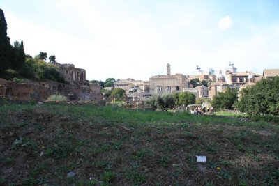 IMG_0565.jpg
