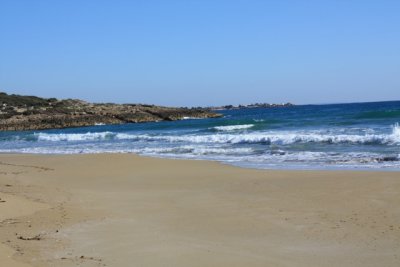 IMG_0773.jpg