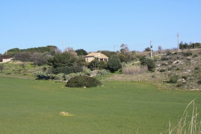 IMG_0783.jpg