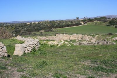 IMG_0786.jpg