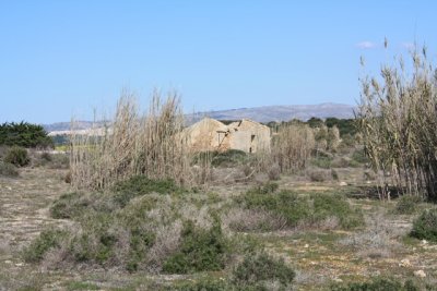 IMG_0789.jpg